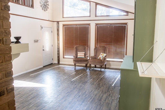 foyer with high vaulted ceiling and dark wood-type flooring