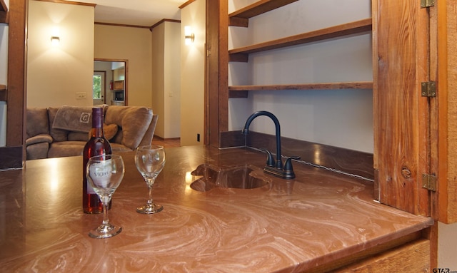 kitchen featuring crown molding and sink