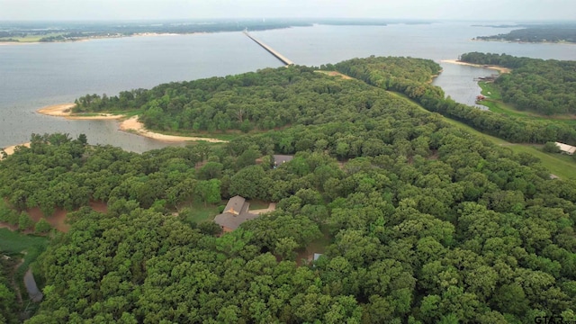 drone / aerial view with a water view and a forest view