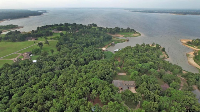 bird's eye view featuring a water view and a forest view