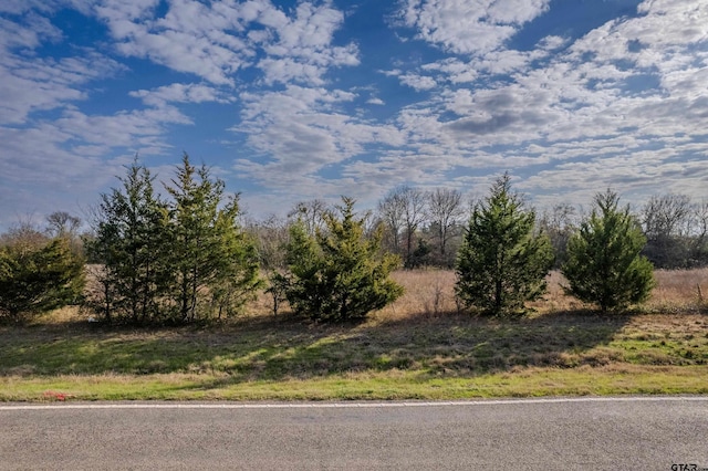 Listing photo 3 for TBD Texas Highway 71, Talco TX 75487