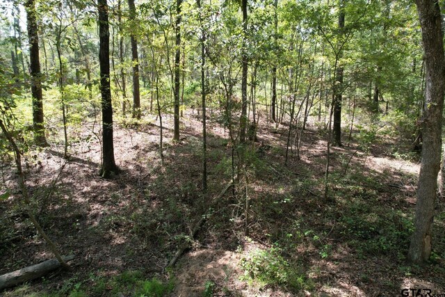 Listing photo 3 for 29.385ACRES SE County Road 3470, Winnsboro TX 75494