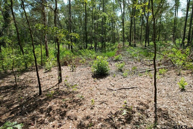 Listing photo 2 for 29.385ACRES SE County Road 3470, Winnsboro TX 75494