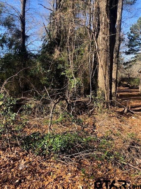 LOT2TBD Lewis St, Henderson, TX 75652