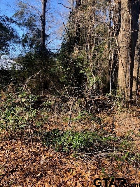 LOT2TBD Lewis St, Henderson, TX 75652