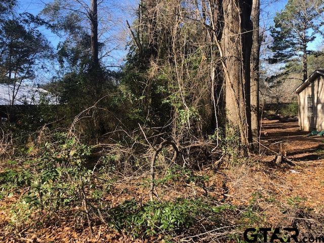 LOT2TBD Lewis St, Henderson, TX 75652