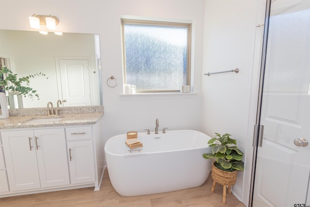 bathroom with wood-type flooring, vanity, and a bathing tub