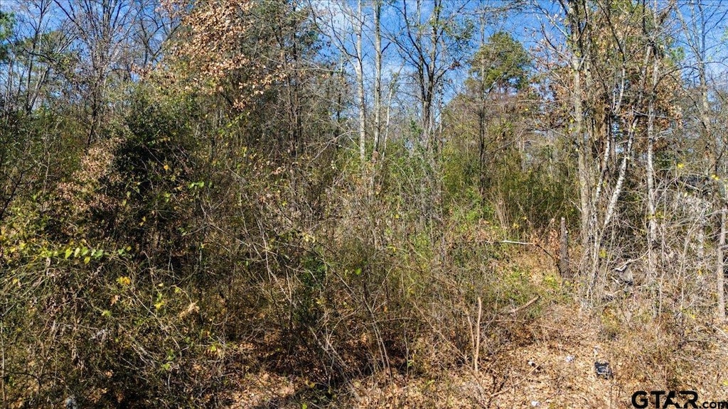339 Fairway, Tyler, TX 75702