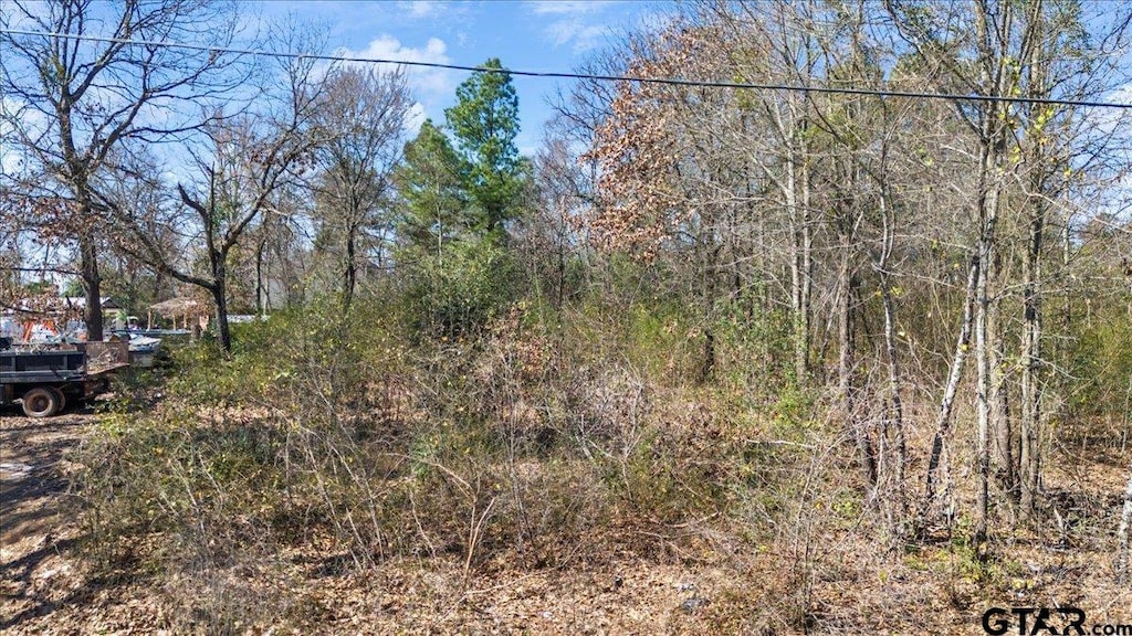 339 Fairway, Tyler, TX 75702