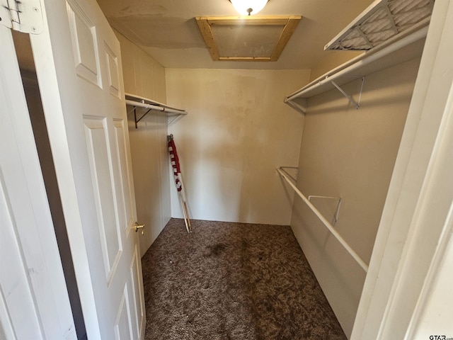 205 E Emma St, Bullard, TX 75757 - walk in closet featuring carpet