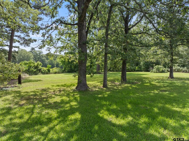 191 Fm 44 E, Dekalb, TX 75559 - photo 33