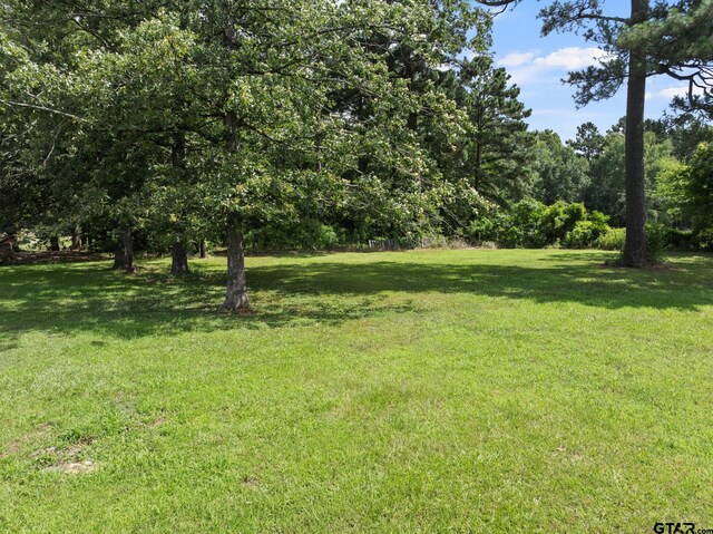 191 Fm 44 E, Dekalb, TX 75559 - photo 35