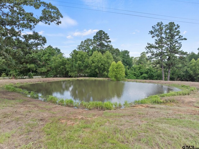 191 Fm 44 E, Dekalb, TX 75559 - photo 37