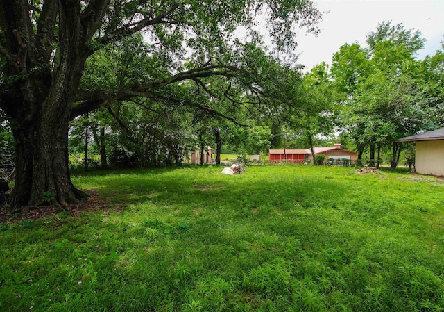 view of yard
