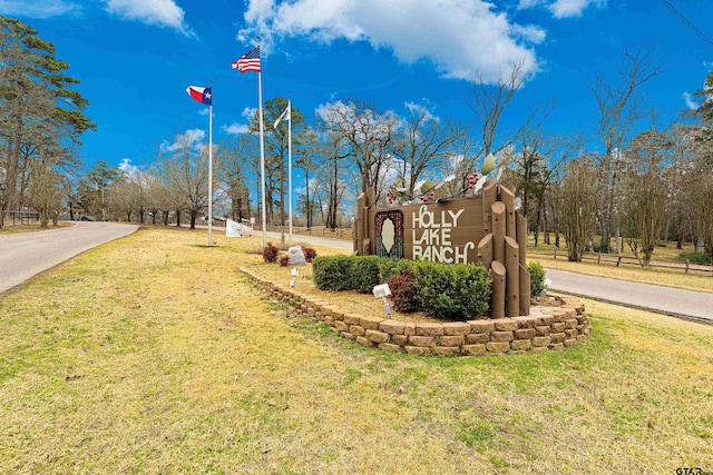 177 Paint Rock Pt, Holly Lake Ranch, TX 75765 - community sign with a yard and driveway