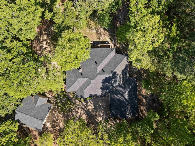 177 Paint Rock Pt, Holly Lake Ranch, TX 75765 - bird's eye view