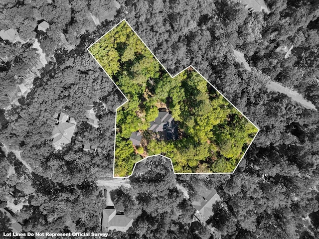 177 Paint Rock Pt, Holly Lake Ranch, TX 75765 - birds eye view of property