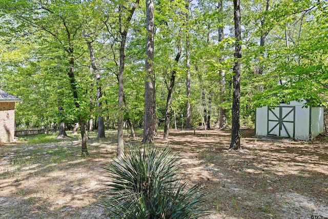 177 Paint Rock Pt, Holly Lake Ranch, TX 75765 - view of yard featuring an outbuilding and a storage shed
