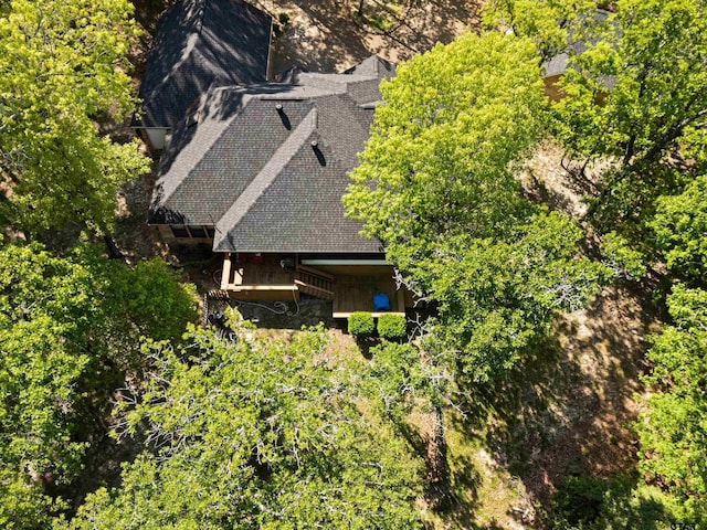 177 Paint Rock Pt, Holly Lake Ranch, TX 75765 - aerial view