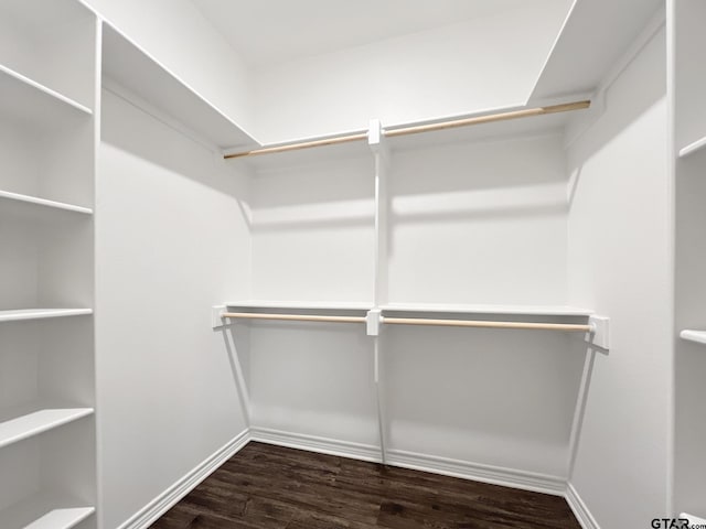 walk in closet featuring dark hardwood / wood-style floors