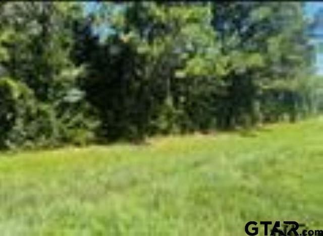 0 Fm 2215, Frankston, TX 75763 - photo 3