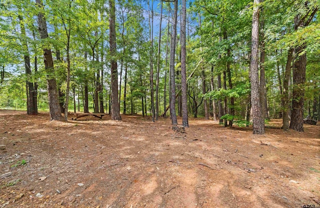 view of local wilderness