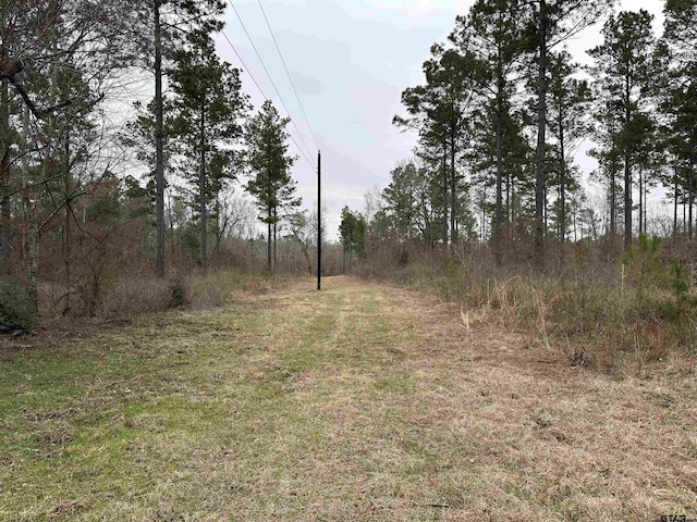 TBD Fm 747, Jacksonville, TX 75766 - photo 25