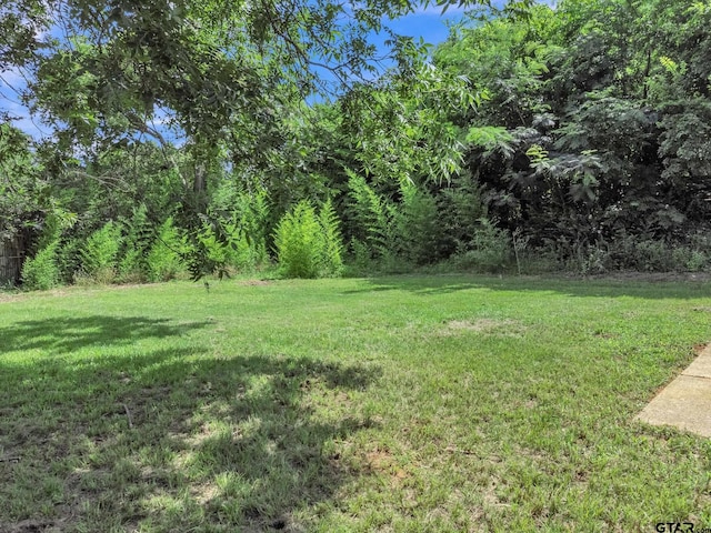1523 Austin Dr, Tyler, TX 75701 - view of green lawn