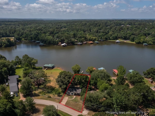 15509 Cedar Bay Dr, Bullard, TX 75757 - aerial view with a water view and a view of trees