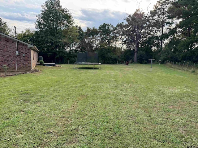 view of yard featuring a trampoline