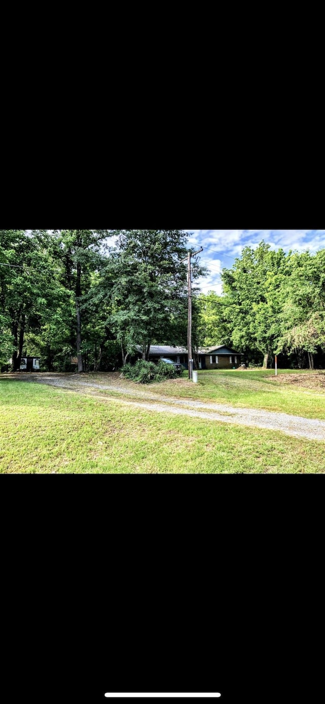 15672 Fm 3204, Brownsboro, TX 75756 - view of property's community featuring a lawn