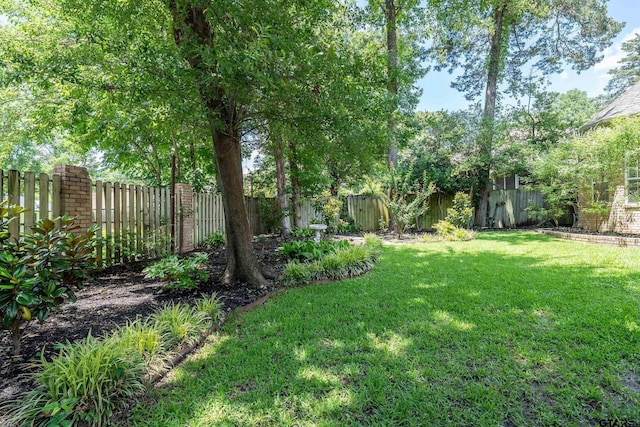 4831 Barclay Dr, Tyler, TX 75703 - view of yard