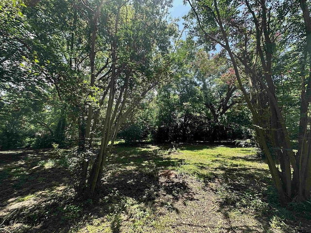 802AND804 N Main St, Winnsboro, TX 75494 - photo 8
