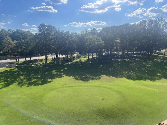 3363 Cascades Blvd, Tyler, TX 75709 - view of home's community with golf course view and view of scattered trees
