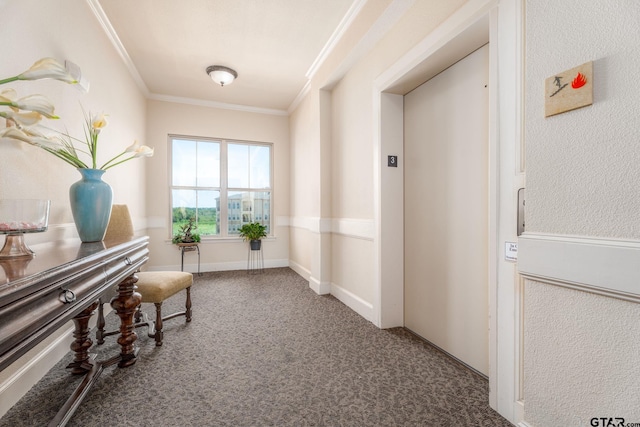 3363 Cascades Blvd, Tyler, TX 75709 - corridor featuring crown molding, carpet flooring, and elevator