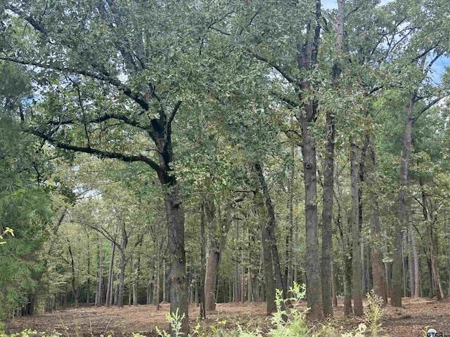 1413 Vanderbilt Dr, Tyler TX, 75703 land for sale