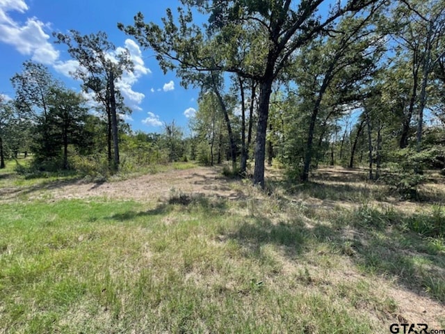 4778 E US Highway 69, Alba TX, 75410 land for sale