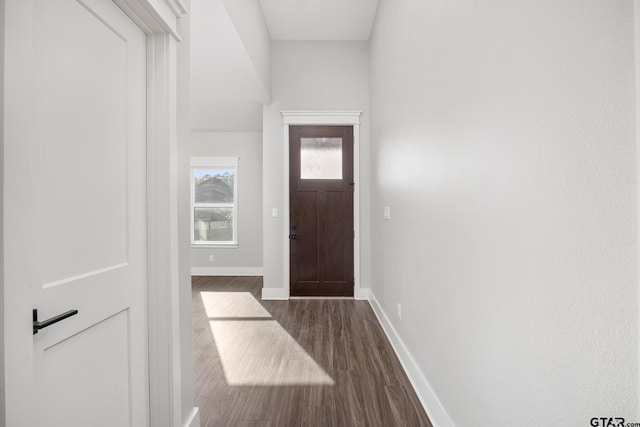 doorway to outside with dark wood-type flooring