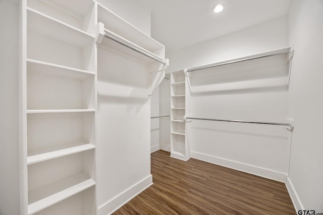 spacious closet featuring dark wood-type flooring