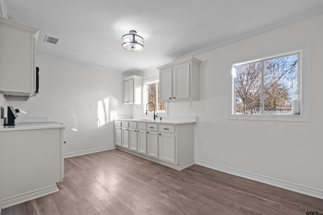 kitchen featuring hardwood / wood-style flooring, sink, and white cabinets