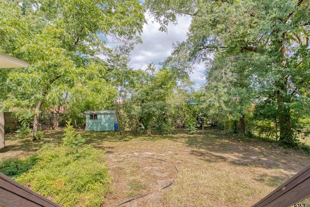 view of yard with a storage shed