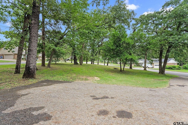 3207 S Cameron Ave, Tyler, TX 75701 - photo 30