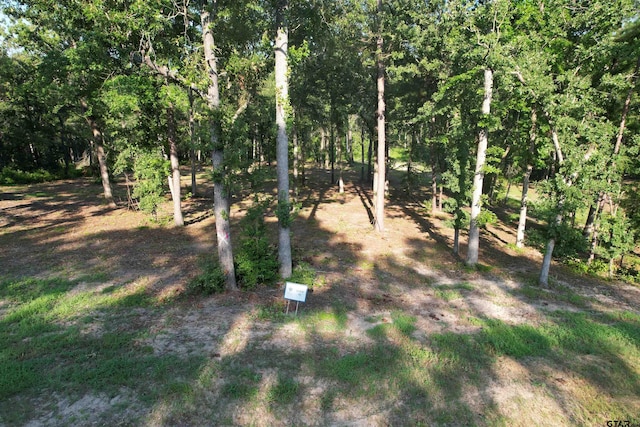 Listing photo 2 for 3226 Shadow Pine Dr, Larue TX 75770