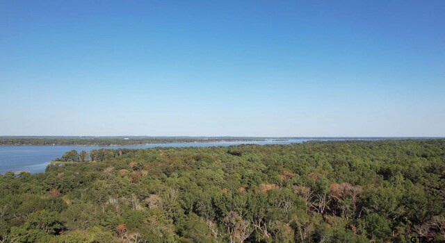 3226 Shadow Pine Dr, Larue, TX 75770