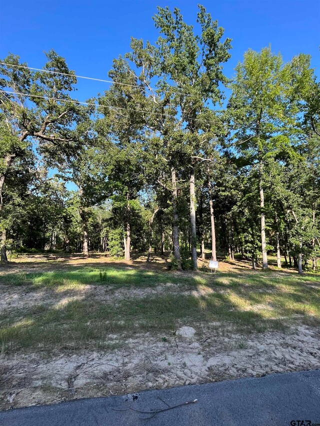 3226 Shadow Pine Dr, Larue, TX 75770