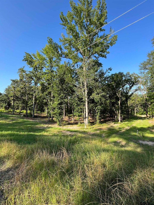 3226 Shadow Pine Dr, Larue, TX 75770