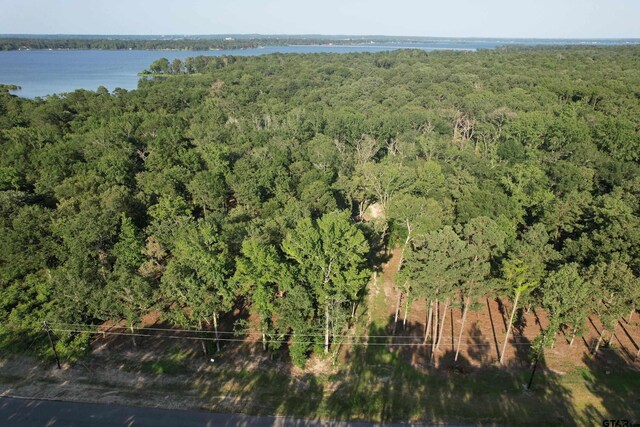 3226 Shadow Pine Dr, Larue, TX 75770