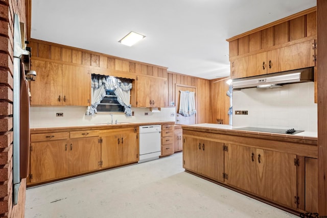 kitchen with tasteful backsplash, sink, black electric cooktop, and white dishwasher