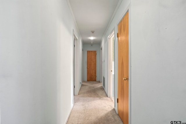 corridor with light colored carpet and ornamental molding