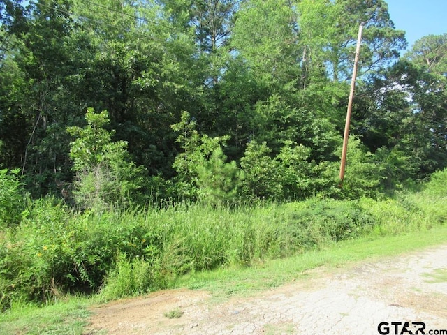 22448 Shady Trl, Flint, TX 75762